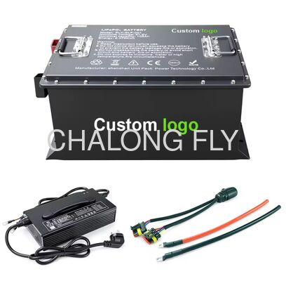 OEM ODM LiFePO4 High Capacity 51.2v 105ah MAX BMS 200A Golf Cart Battery Electric Three-wheel Lithium Ion Battery Packs