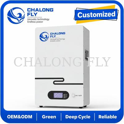 Wall Mounted 51.2V LiFePO4 Residential Energy Storage System Home Solar Battery for Backup Power