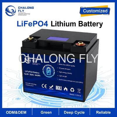 Pacote de bateria LiFePO4 personalizado de 12,8V 50Ah com BMS incorporado para RV Campervan e energia auxiliar