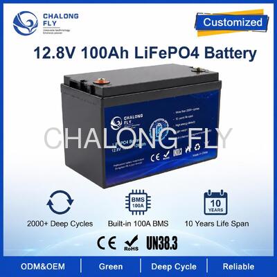 Pacote de Bateria LiFePO4 Personalizado de 12.8V 100Ah com BMS para Postes de Luz Solares e Energia Auxiliar de RV