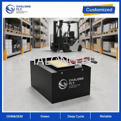 51.2V 608Ah LiFePO4 bateria de empilhadeira com monitoramento 4G e SOC display