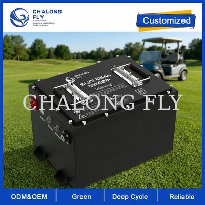 Bateria de Carrinho de Golfe LiFePO4 de 51.2V 105Ah com Capacidade de 5376Wh e BMS Inteligente para Conversão de Chumbo-Ácido de 48V