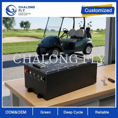 Bateria de Carrinho de Golfe LiFePO4 OEM ODM com Tensão Personalizada, BMS Personalizado e Comunicação CAN
