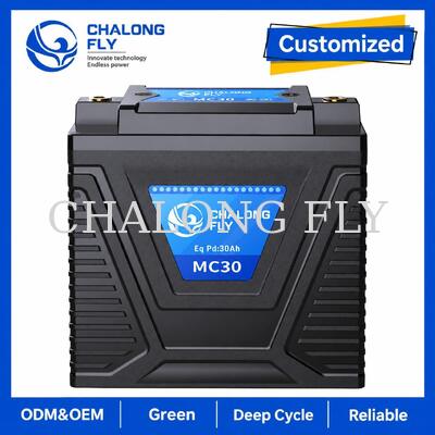 12.8V 10Ah LiFePO4 Bateria de Partida para Motocicleta 600A para Substituição de Chumbo-Ácido de 15–30Ah