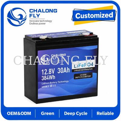 12.8V 30Ah LiFePO4 Deep Cycle Battery com 384Wh de energia e Smart BMS para sistemas de 12V